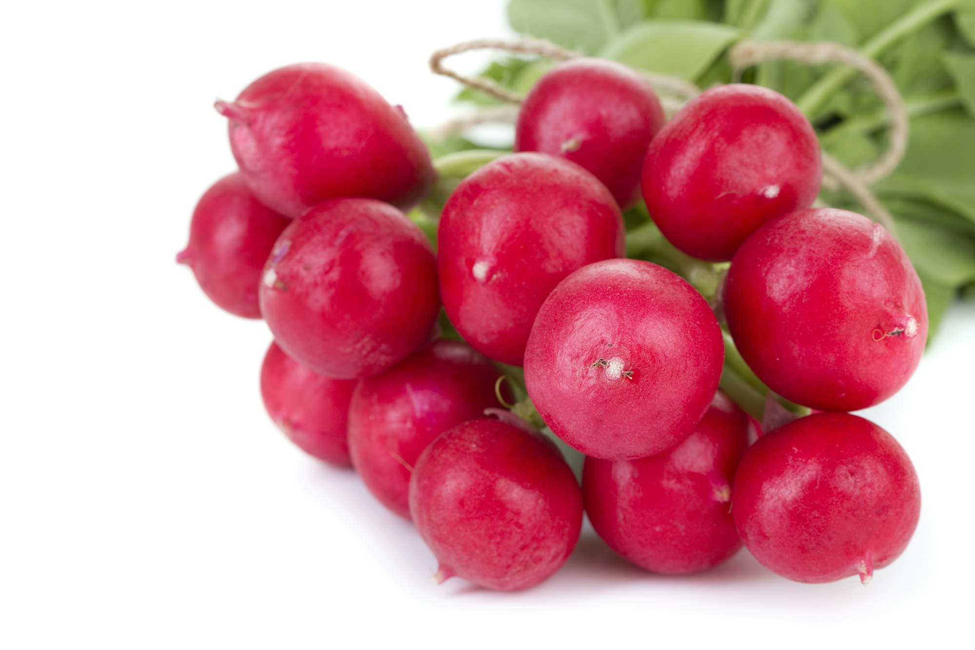 Radish 1